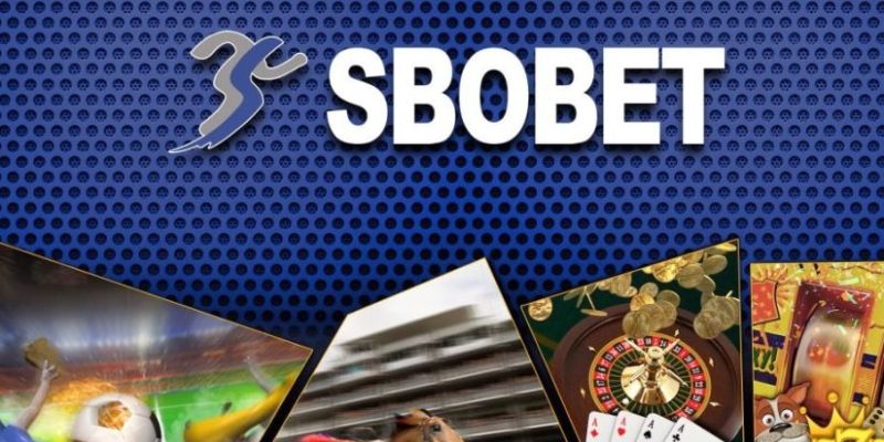 Hướng dẫn tham gia sảnh Sbobet tại nhà cái 8KBET