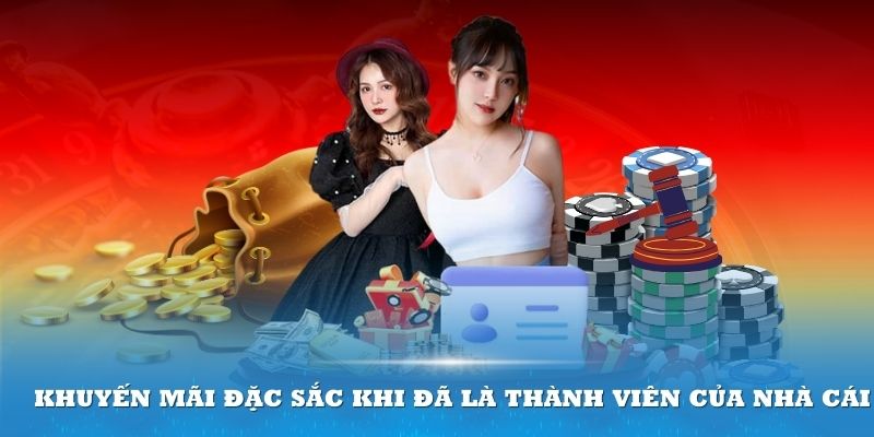 8ket luôn có nhiều chính sách khuyến mãi đầu hấp dẫn 